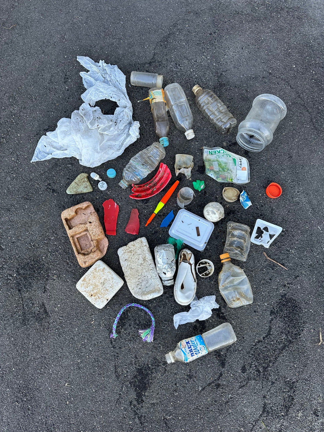 2025/11/23 海ごみ