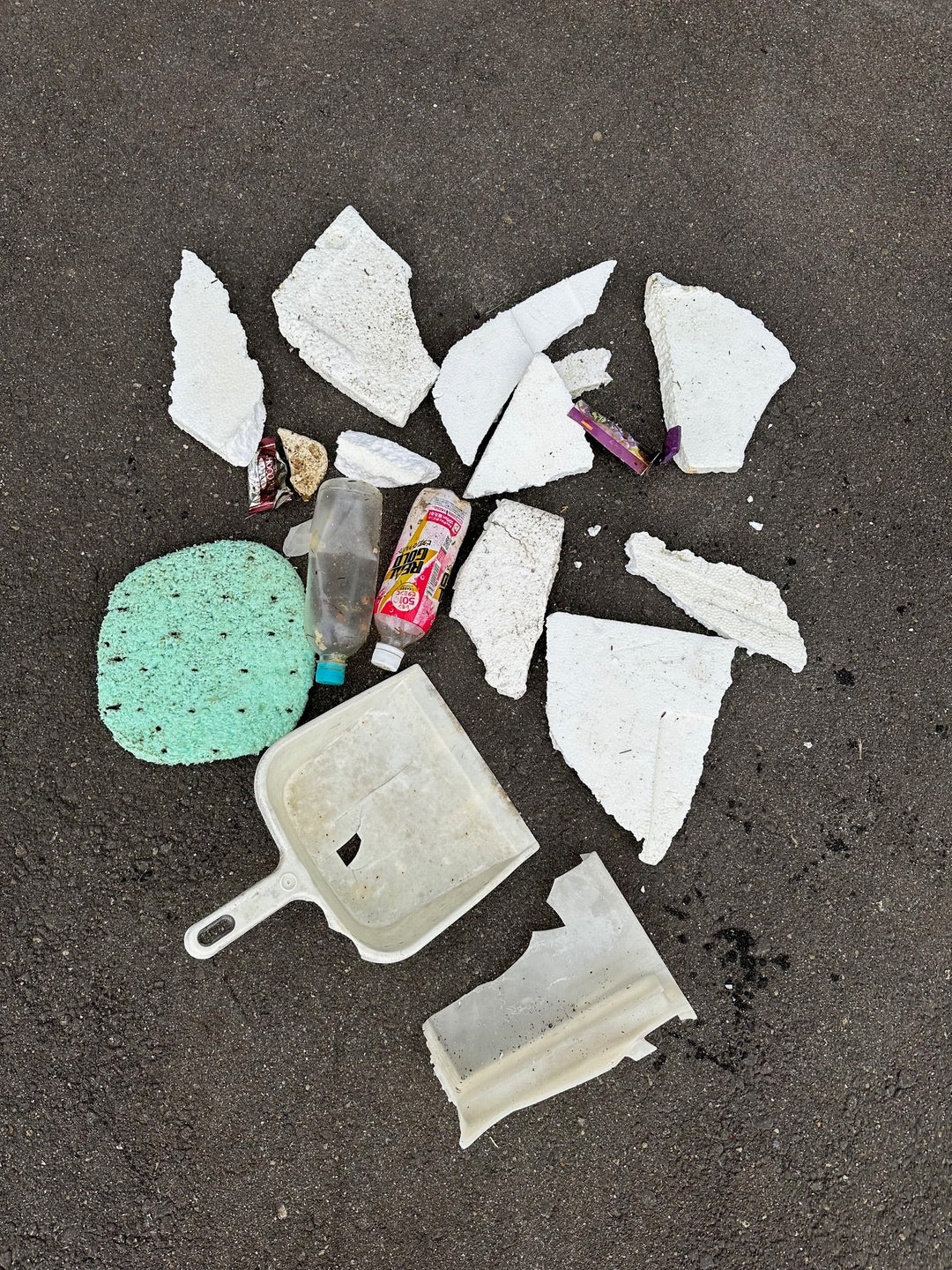 2025/12/28 海ごみ