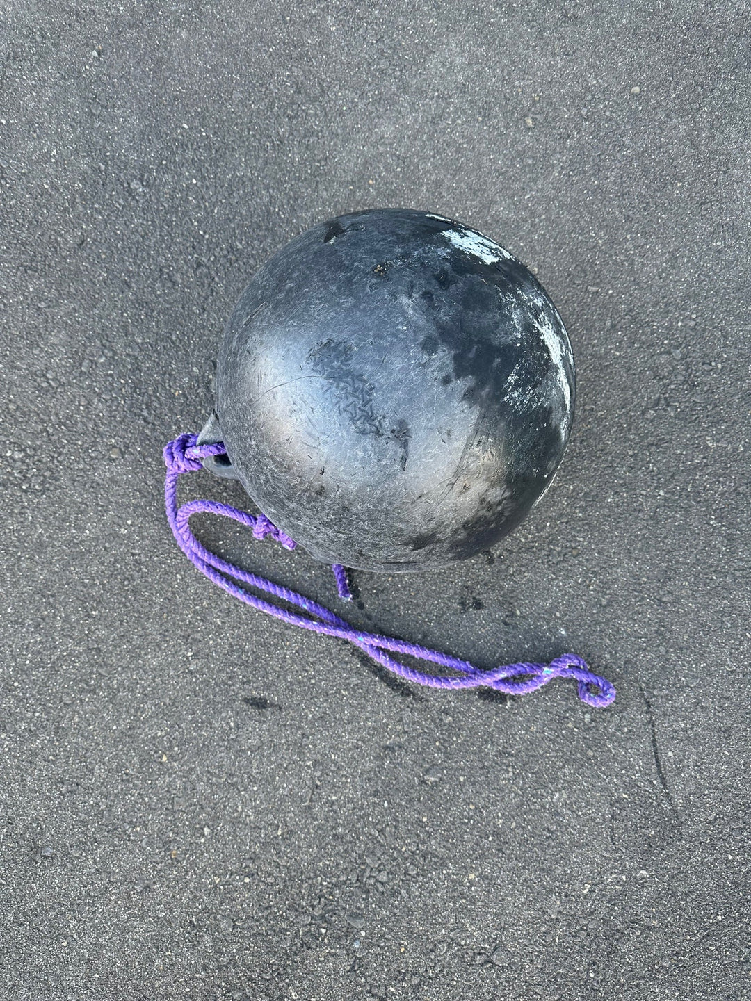 2025/12/17　海ごみ