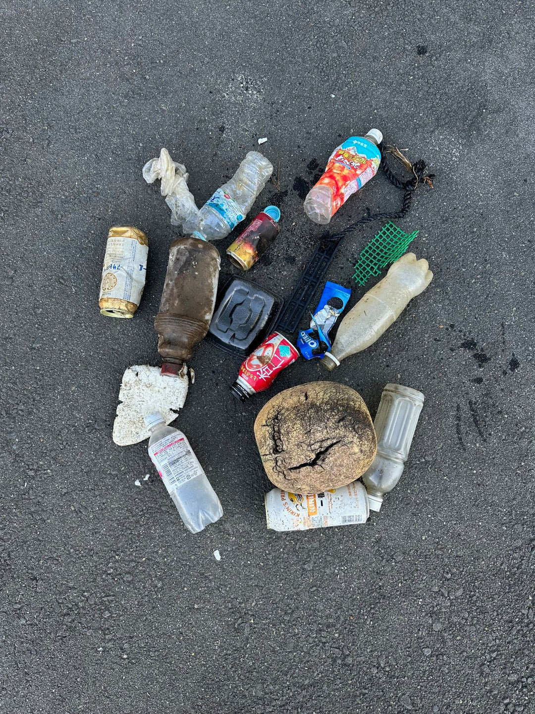 2026/02/10 海ごみ