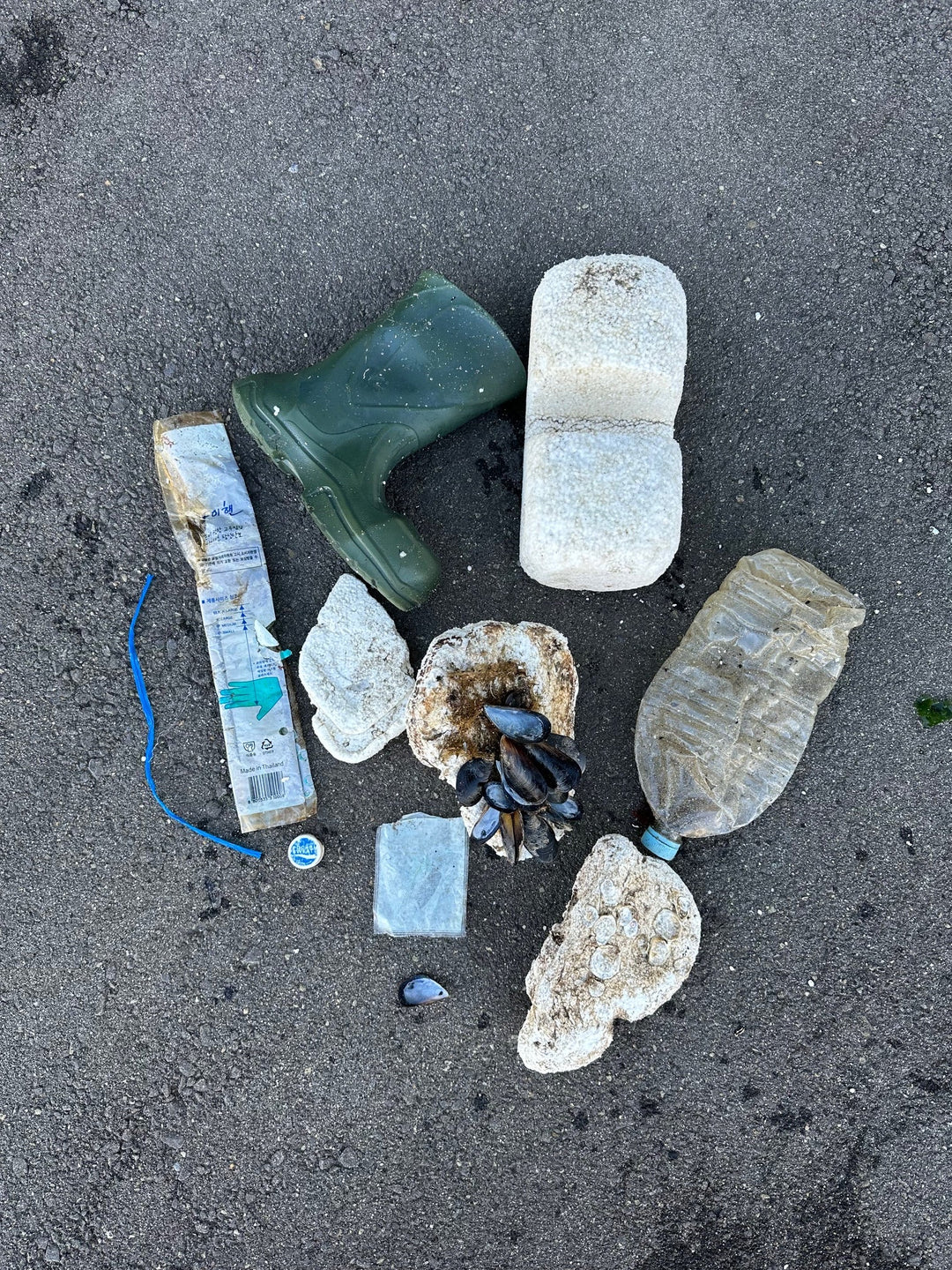 2025/11/05　海ごみ