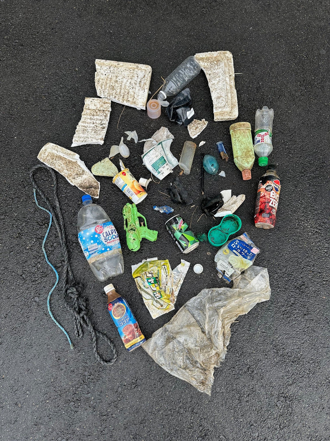 2025/11/24 海ごみ