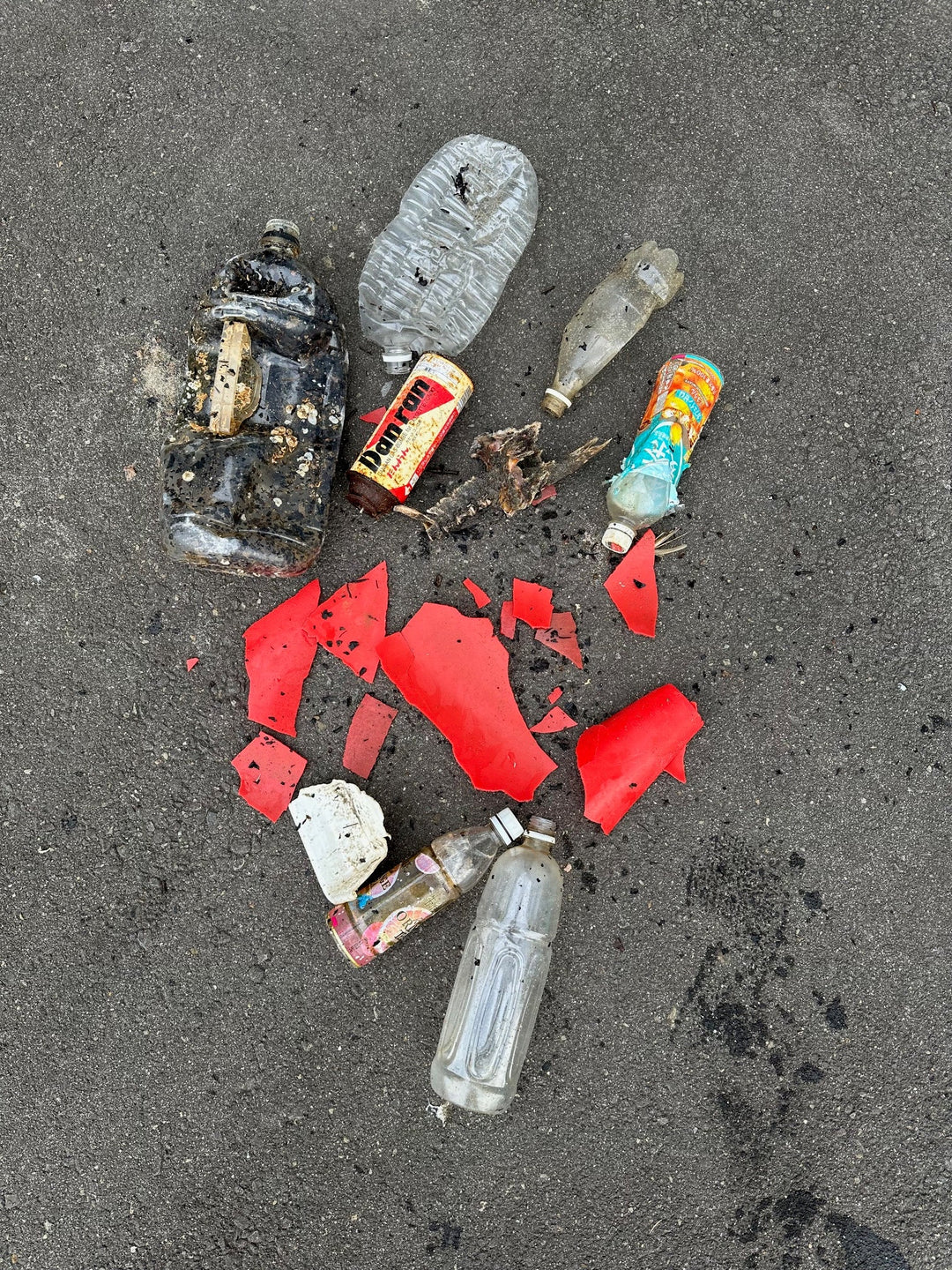 2025/12/3　海ごみ