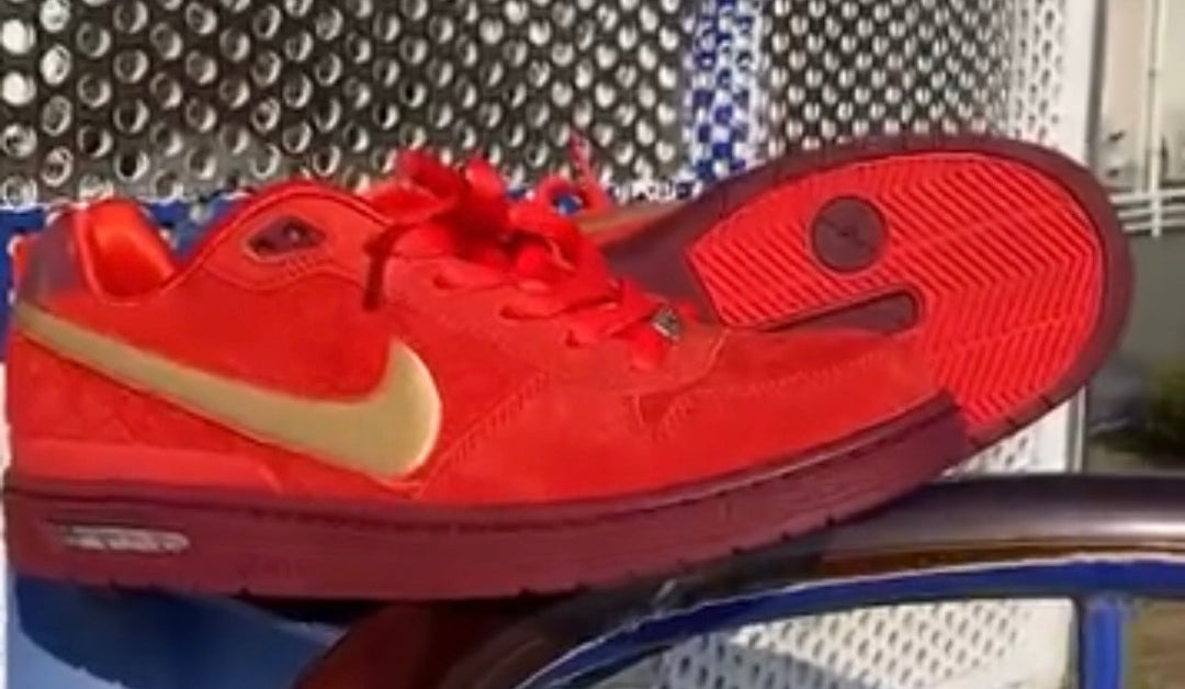 🌶️The Nike SB Zoom Paul Rodriguez 1 🌶️