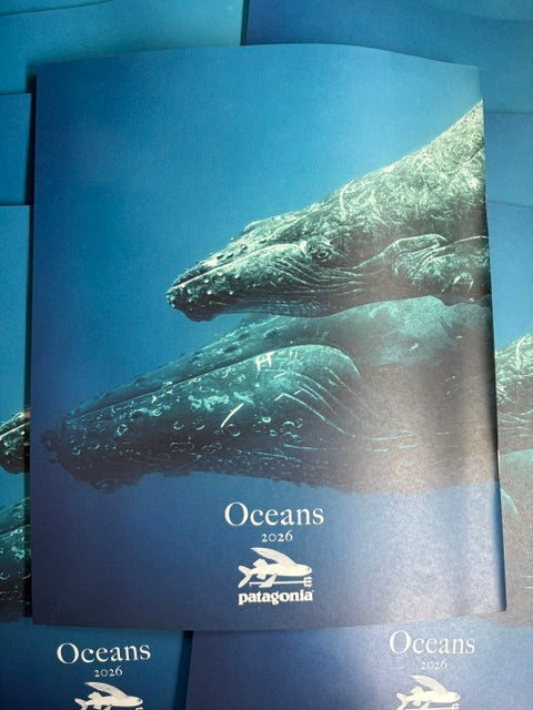 Oceans Journal 2026 📖