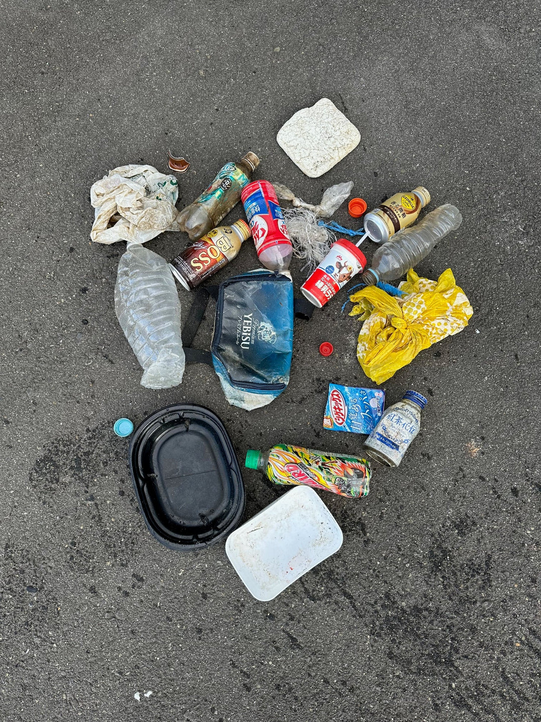 2026/02/05 海ごみ