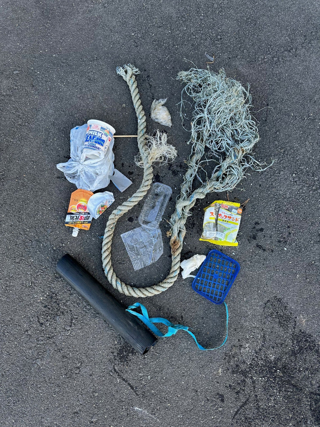 2026/02/15　海ごみ