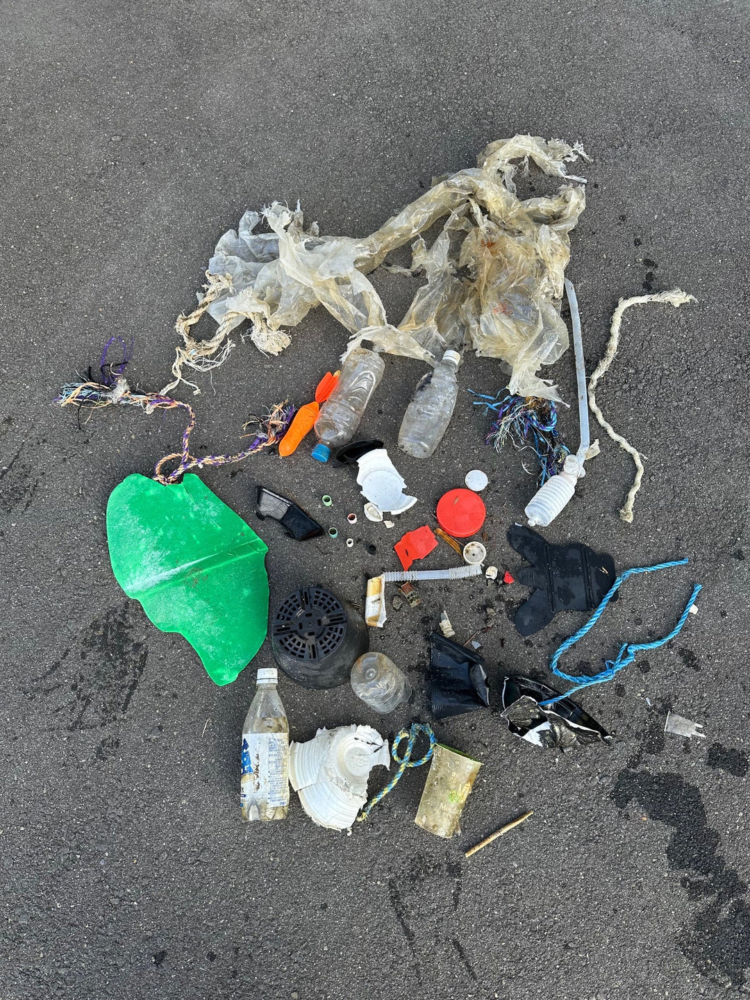 2025/11/04 海ごみ