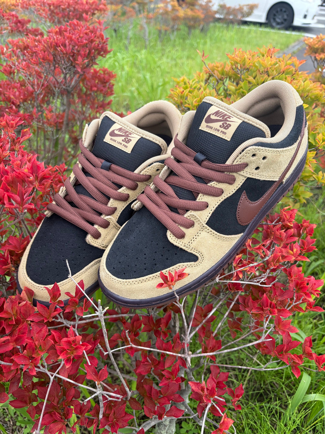 NIKE SB DUNK LOW PRO HQ1625-201