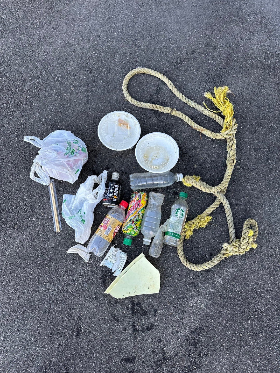 2025/11/19 海ごみ