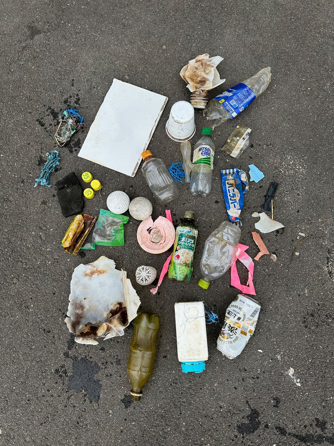 2026/02/14　海ごみ