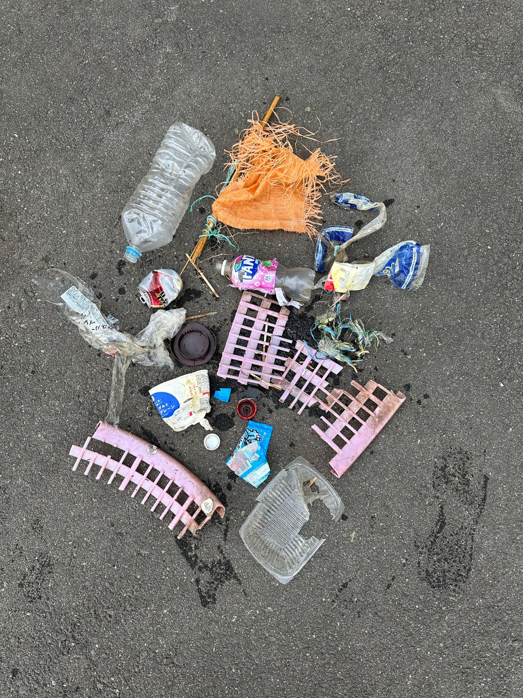 2026/03/12　海ごみ