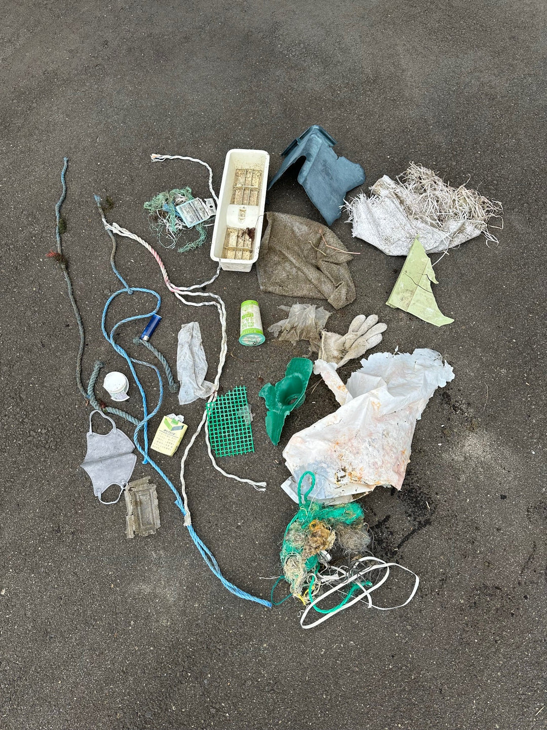 2025/11/09　海ごみ