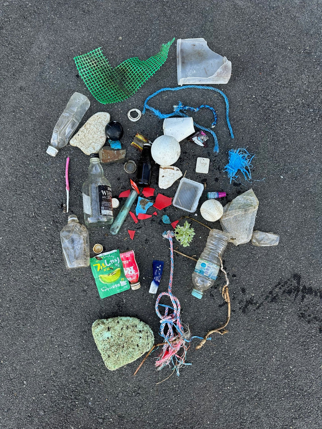 2025/12/24　海ごみ