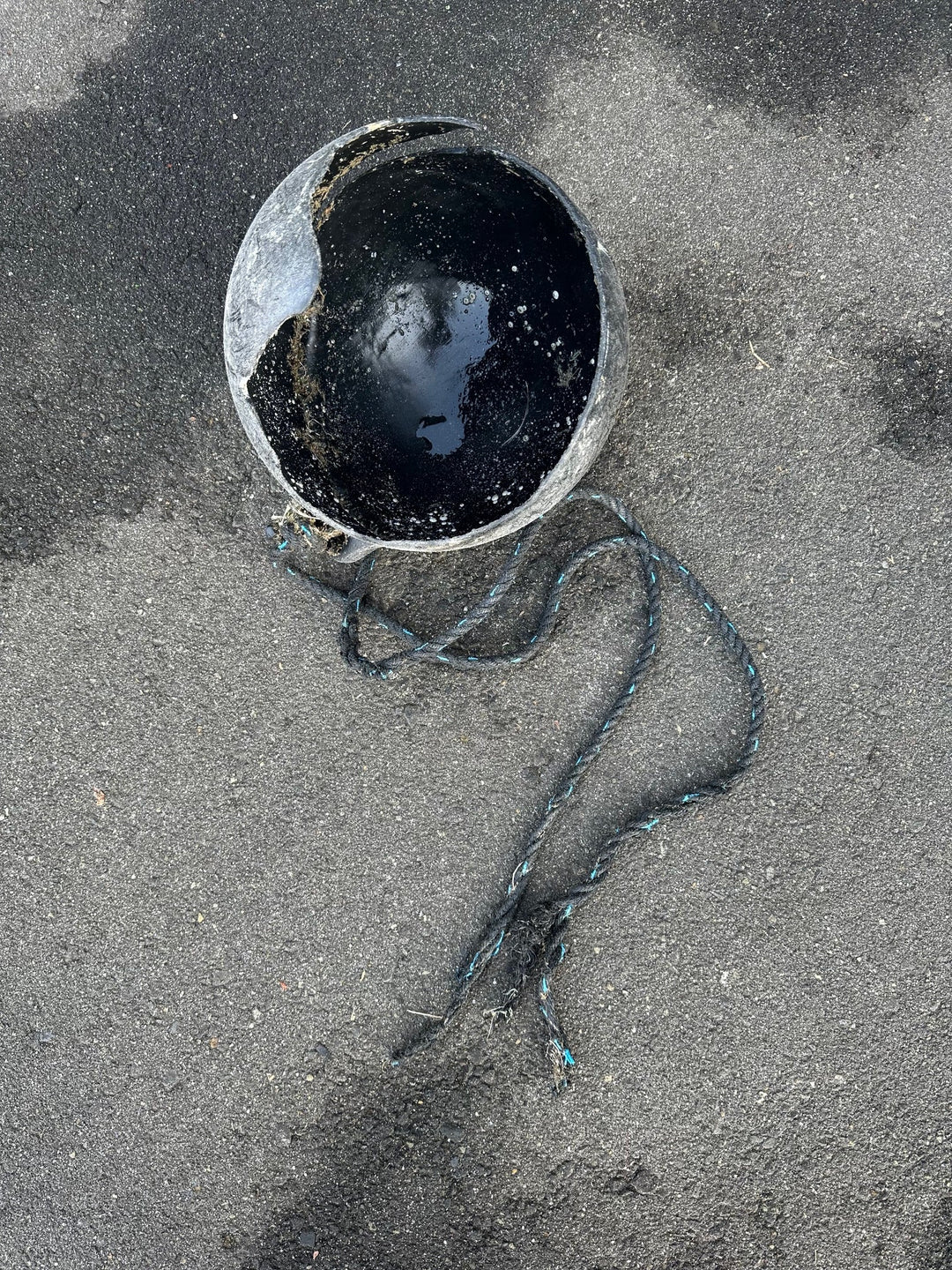 2025/12/20　海ごみ