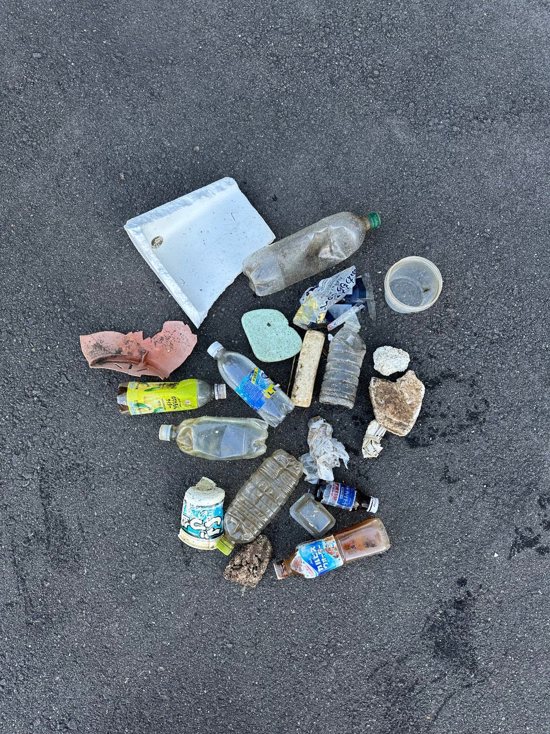 2025/12/31　海ごみ　拾い納め