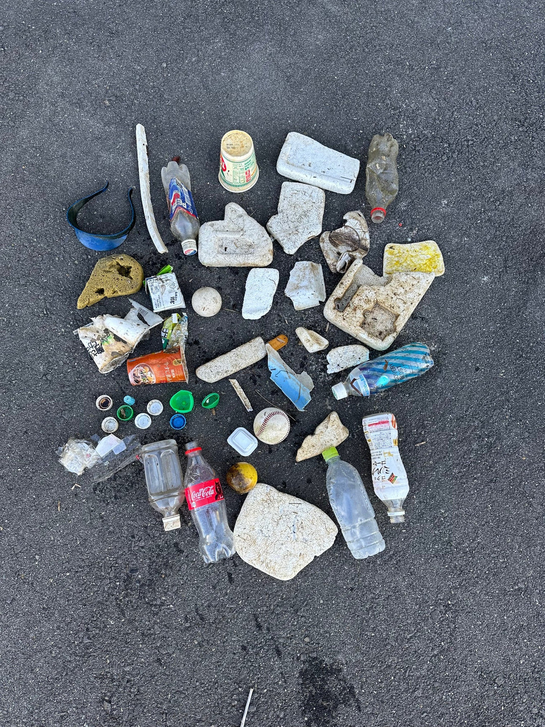 2025/11/14　海ごみ