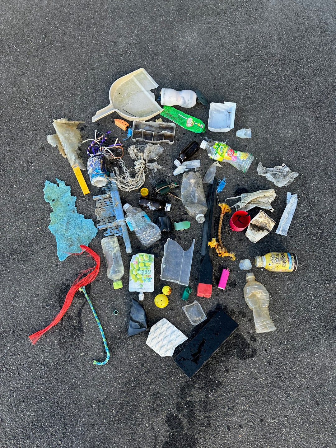 2025/11/15 海ごみ