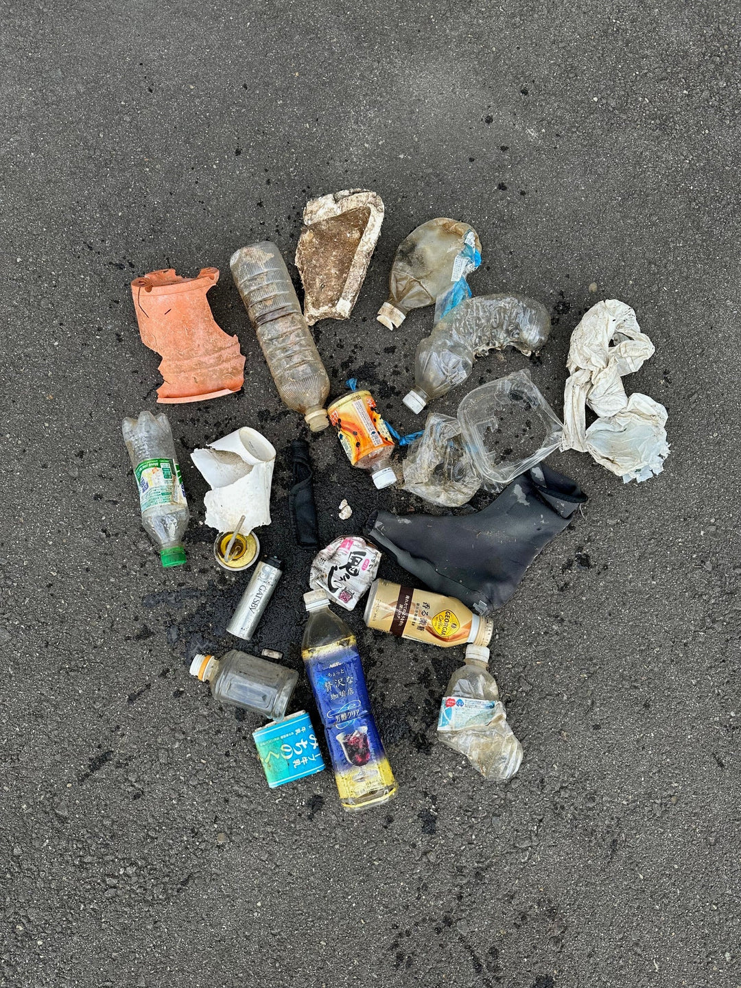 2025/11/28 海ごみ