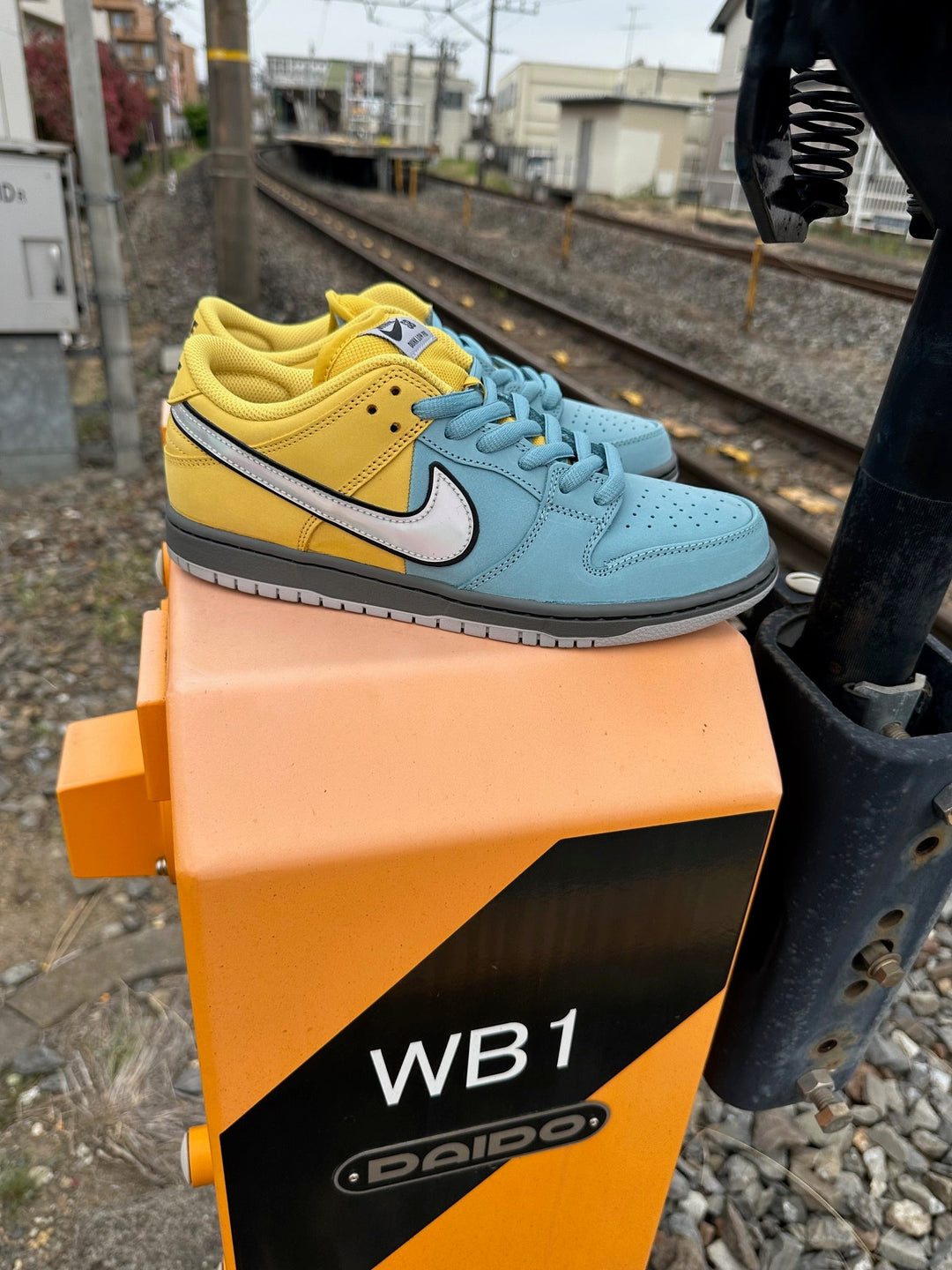 NIKE SB DUNK LOW PRO IR1888-700