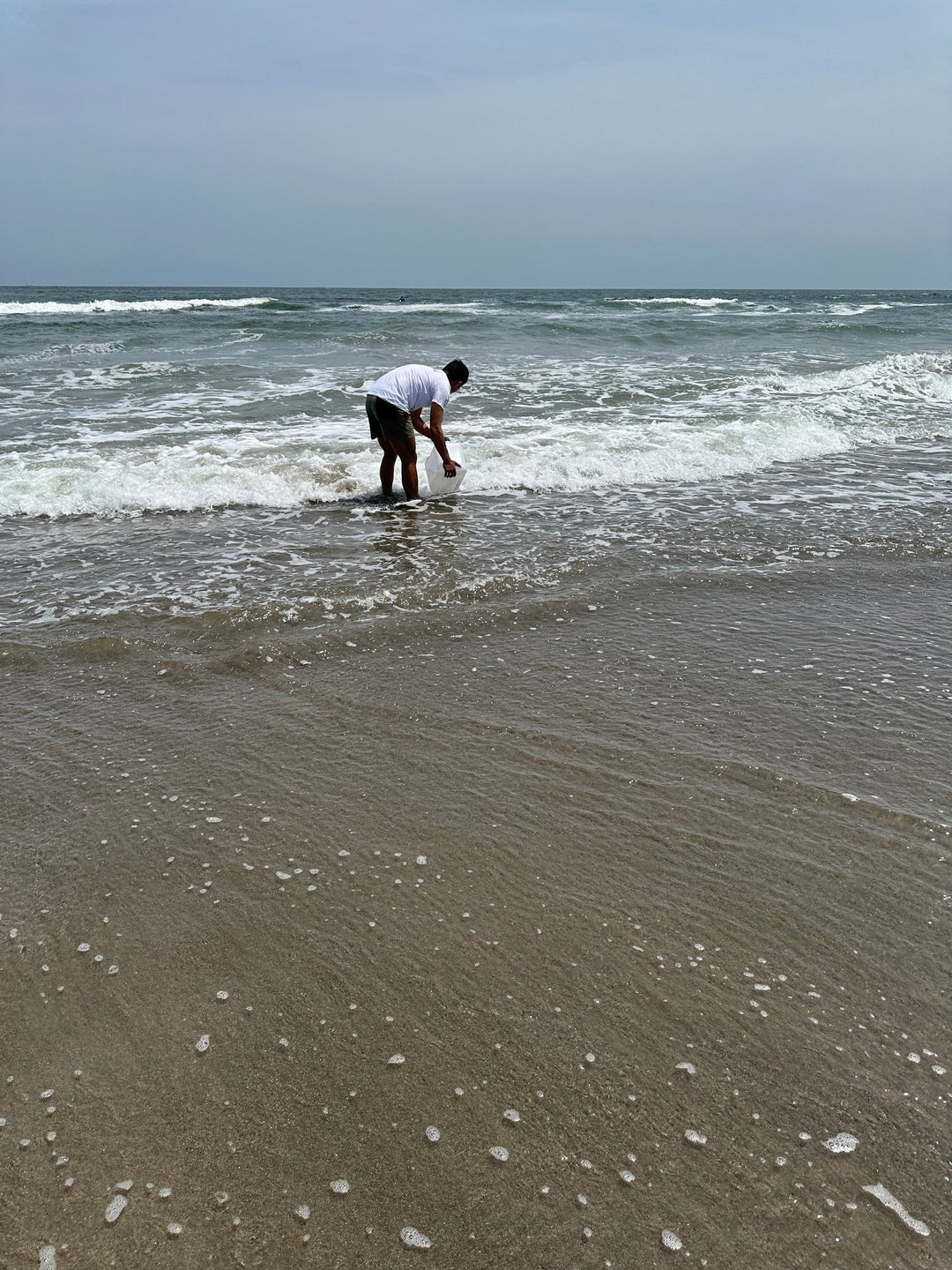 2026年7月仙台湾海水調査