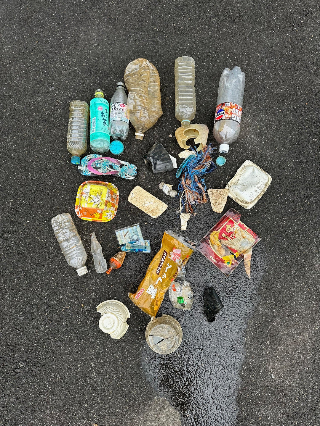 2025/12/08　海ごみ