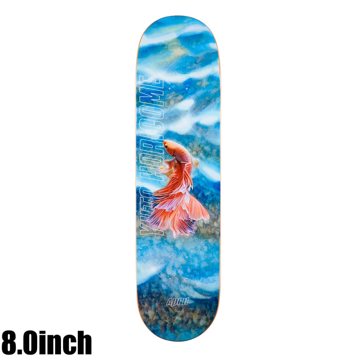 YUTO HORIGOME TROPICAL 8.0