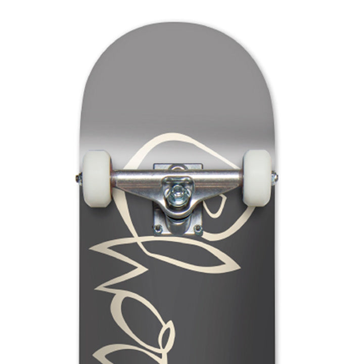 CHUNK CARLISLE AIKENS 7.25 キッズコンプリートスケートボード スケボー コンプリート 完成組立品 セット