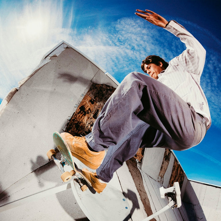 VANS SKATE ROWAN Z3 CHIPMUNK
