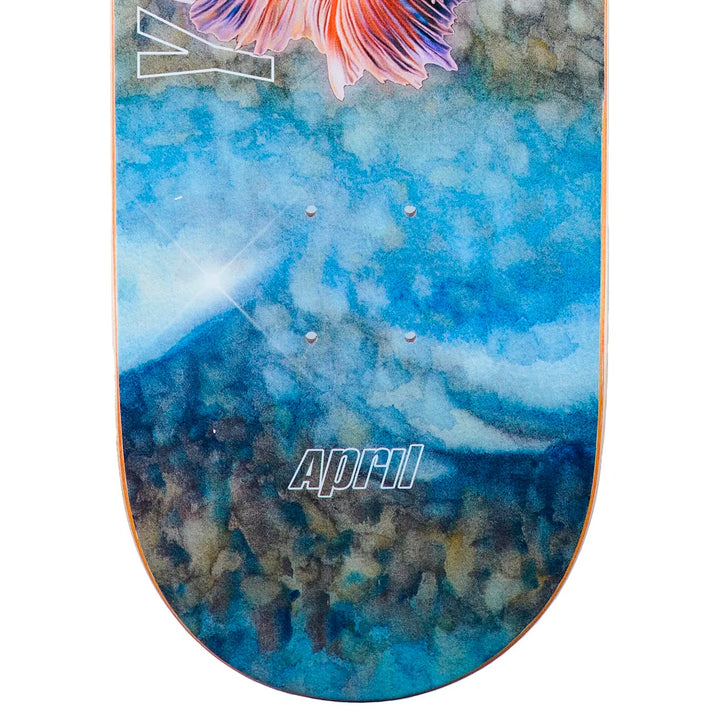 YUTO HORIGOME TROPICAL 8.0