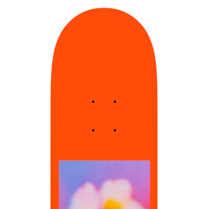 KAI KISHI BLURRED 8.0 スケートボード スケボー デッキ