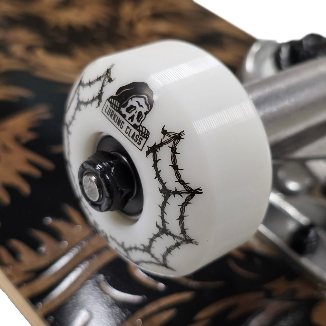 COPRO WAVES COMPLETE 8.0